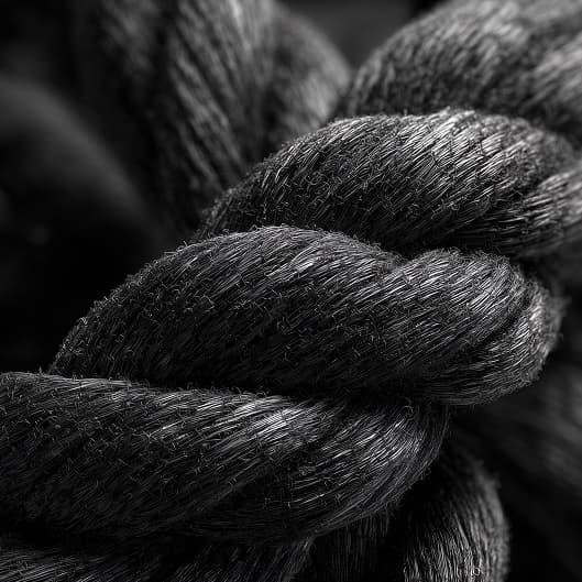 Elevated Density Cut at Elevated Grooming LLC in North Canton, OH